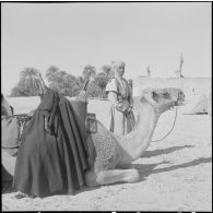 Devant les bordj et l'oasis de Sif-el-Ménadi.