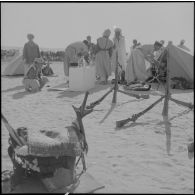 El Oued. Au campement.