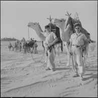 El Oued. Le peloton va quitter la palmeraie.
