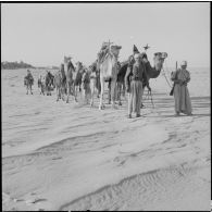 El Oued. Le départ est donné pour une nomadisation.