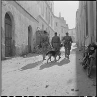 Bône. Manifestations. Des soldats dans la rue avec leur chien.