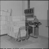 Les Vergers d'Oued-Fodda. Conditionnement des oranges.