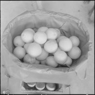 Les Vergers d'Oued-Fodda. Conditionnement des oranges.