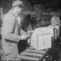 Les Vergers d'Oued-Fodda. Conditionnement des oranges.