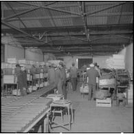 Les Vergers d'Oued-Fodda. Conditionnement des oranges.