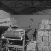 Les Vergers d'Oued-Fodda. Conditionnement des oranges.