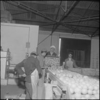 Les Vergers d'Oued-Fodda. Les oranges sont déchargées et vidées dans un grand bac contenant du borax.
