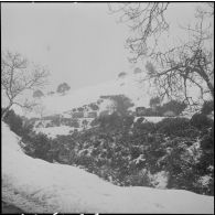 Transports routiers par temps de neige en Algérie.