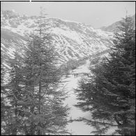 Tikdja. 22e bataillon de chasseurs alpins (BCA). Des chasseurs alpins skient dans la montagne.