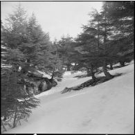 Tikdja. 22e bataillon de chasseurs alpins (BCA). Paysage de montagne sous la neige.