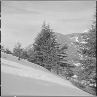 Tikdja. 22e bataillon de chasseurs alpins (BCA). Paysage de montagne sous la neige.