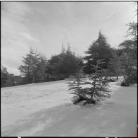 Tikdja. 22e bataillon de chasseurs alpins (BCA). Paysage de montagne sous la neige.