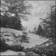 Tikdja. 22e bataillon de chasseurs alpins (BCA). Paysage de montagne sous la neige.
