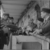 Algérie. Des militaires fêtent l'aïd el-séghir. Le méchoui.