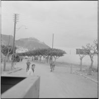 Oran. Grève générale à l'appel de l'Organisation armée secrète (OAS). Des barricades dans une rue.