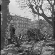 Alger. Journée de deuil du 27 mars 1962. Un soldat à son poste dans un jardin.