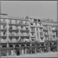 Alger. Journée de deuil du 27 mars 1962. Des civils ont accroché un drapeau français avec un foulard noir aux balcons de leurs appartements.