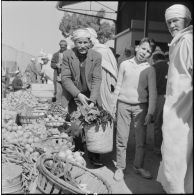 Fondouk. Marché. Des hommes et un enfant sur le stand d'un marchand de fruits et légumes.