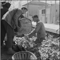 Fondouk. Marché. Marchands de fruits et légumes.