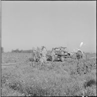 Région d'Alger. La vie dans les champs. Traitement phytosanitaire des champs.