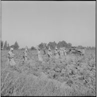 Région d'Alger. La vie dans les champs. Traitement phytosanitaire des champs.