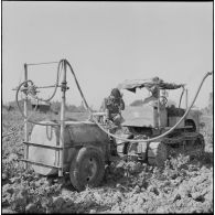 Région d'Alger. La vie dans les champs. Traitement phytosanitaire des champs.