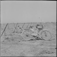 Région d'Alger. La vie dans les champs. Une mobylette et un vélo.