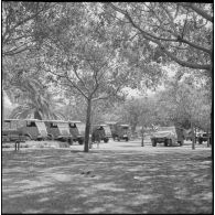 Oran. Véhicules militaires.