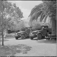 Bouclage du centre d'Oran. Deux Half-track M3