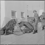 Oran. Mise en place des troupes sur les terrasses.