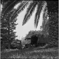 Des camions militaires dans le cadre de l'opération "Z".