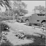 Des blindés dans un campement militaire dans le cadre de l'opération "Z".