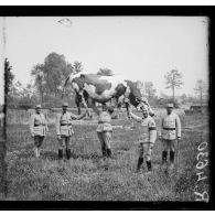Conty (Somme). Une vache fabriquée par la section de camouflage. [légende d'origine]