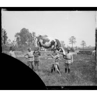 Conty (Somme). Une vache fabriquée par la section de camouflage.