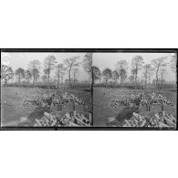 Près du Lion Belge, cabaret (Belgique). Douilles de 75 ramenées à l'arrière. [légende d'origine]