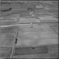 La Reghaïa. Pulvérisation de l'insecticide DDT (Dichloro-Diphenyl-Trichloroethane). Vue aérienne.