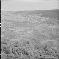 La Reghaïa. Pulvérisation de l'insecticide DDT (Dichloro-Diphenyl-Trichloroethane). Vue aérienne des marécages.