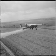 La Reghaïa. Pulvérisation de l'insecticide DDT (Dichloro-Diphenyl-Trichloroethane). Vue aérienne.