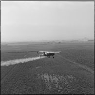 La Reghaïa. Pulvérisation de l'insecticide DDT (Dichloro-Diphenyl-Trichloroethane). Vue aérienne.