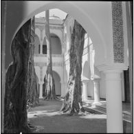 Alger. Mess [cantine] du square Bresson. Des arbres dans la cour intérieure.