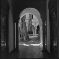 Alger. Mess [cantine] du square Bresson. Des arbres dans la cour intérieure.