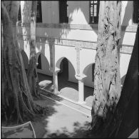 Alger. Mess [cantine] du square Bresson. Des arbres dans la cour intérieure.