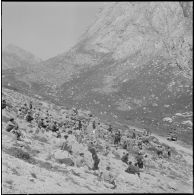 Boussouail (Kabylie). Réunion des commandants de différentes unités alpines.