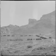 Boussouail (Kabylie). Réunion des commandants de différentes unités alpines. Cérémonie militaire.