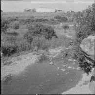 Un opérateur filme des soldats avec un chien en opération le long de la frontière marocaine dans la région de Tlemcen.