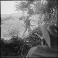 Des soldats en patrouille le long de la frontière marocaine dans la région de Tlemcen.