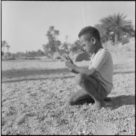 Portrait d'un enfant dans une palmeraie à Adrar ou à Colomb-Béchar.
