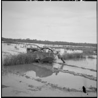 Progression difficile de chenillettes M29C Weasel du 1er régiment étranger d'infanterie (1er REC) dans un terrain marécageux au cours de l'opération Jeanne d'Arc.