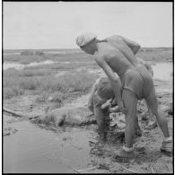 Un porc est abattu dans un marécage pour le repas du soir, par des légionnaires du 1er Régiment étranger de cavalerie (1er REC) au cours de l'opération Jeanne d'Arc.