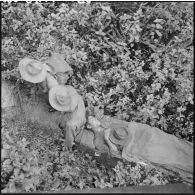 Evacuation sur un brancard d'un blessé du 43e régiment d'infanterie coloniale au cours de l'opération Mangouste. [description provisoire]